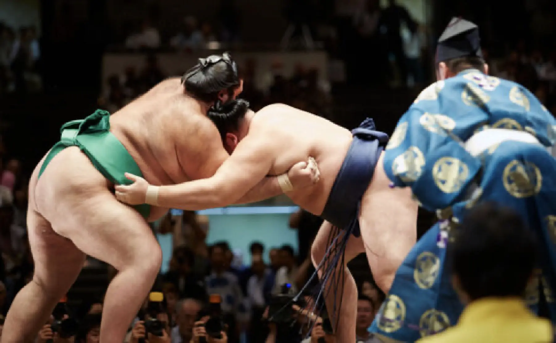 Sumo Guide