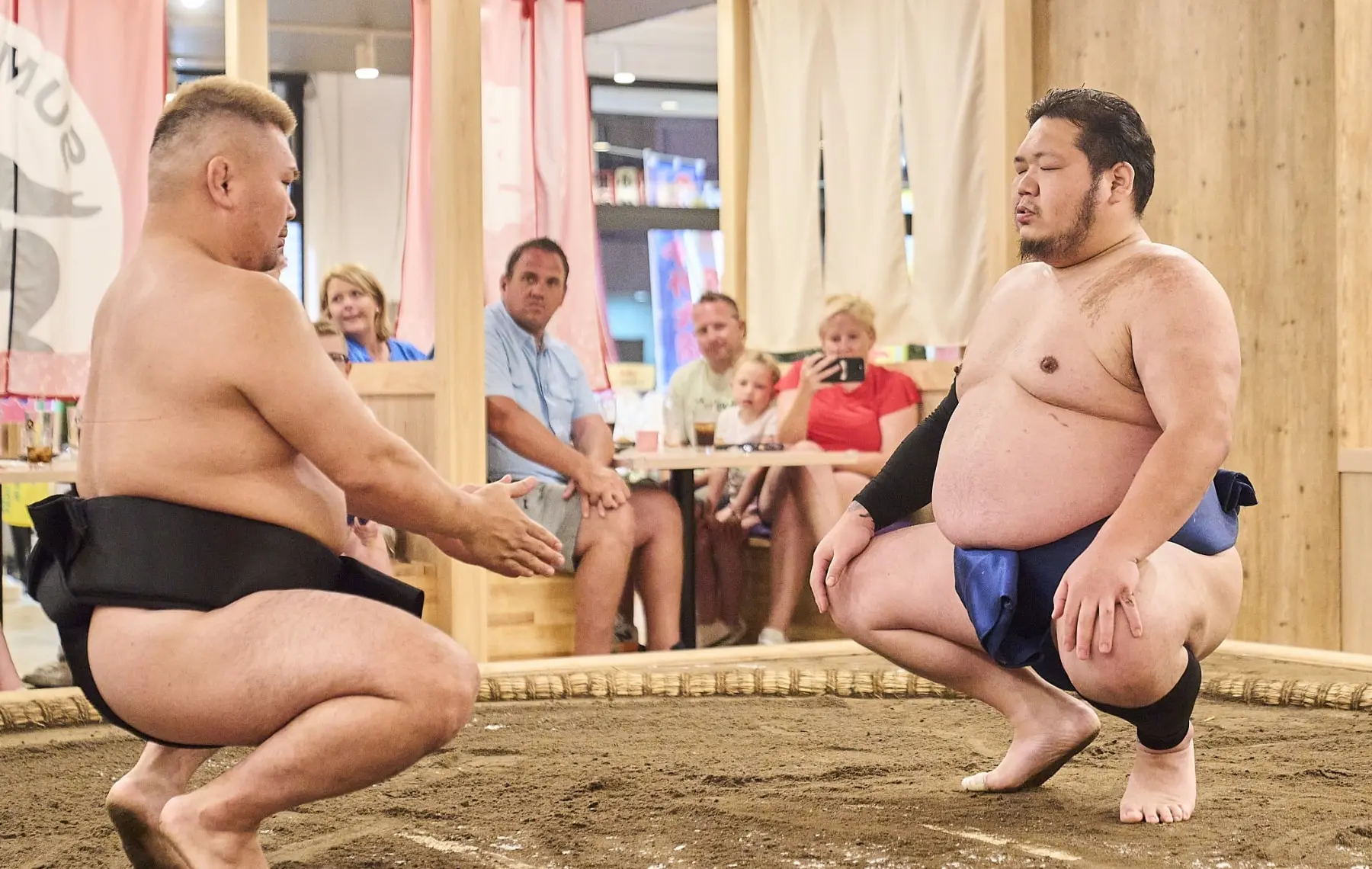 What is SUMO?