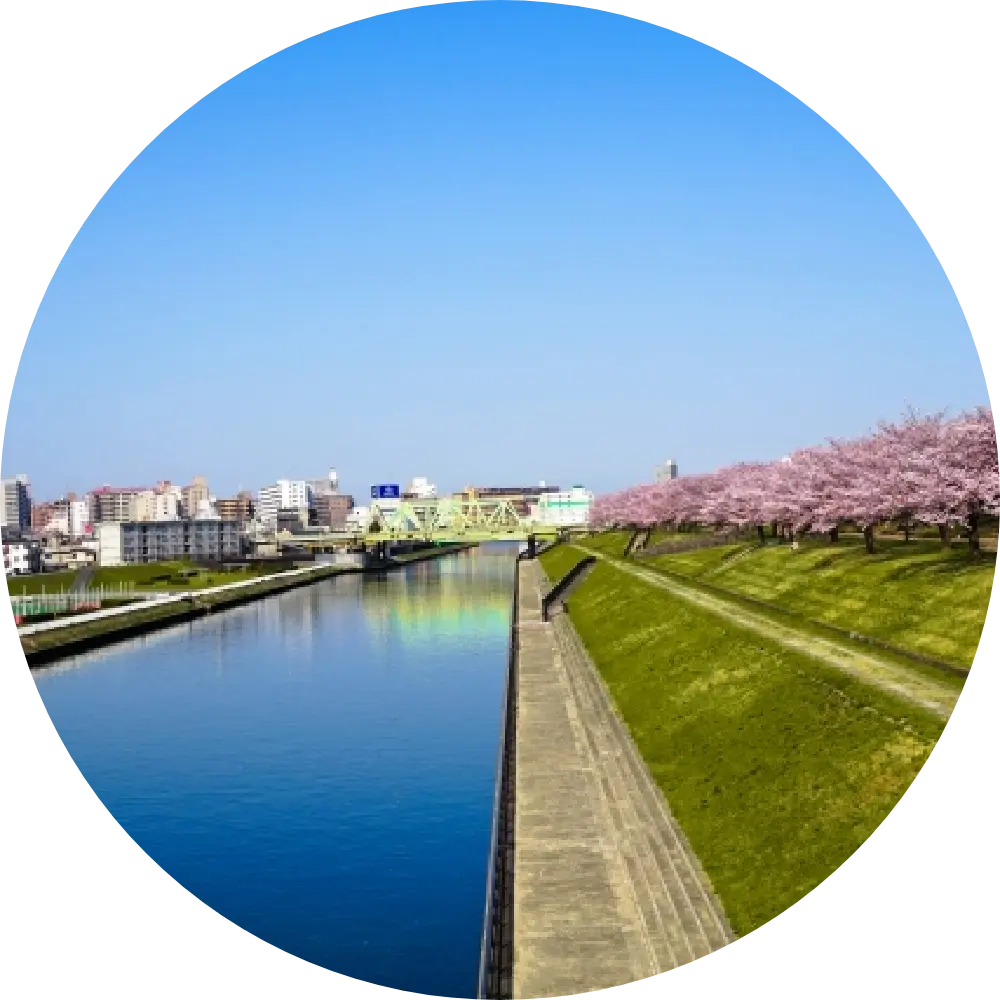 Sumida River Walk